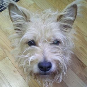 Meet your Posher, Jeanne